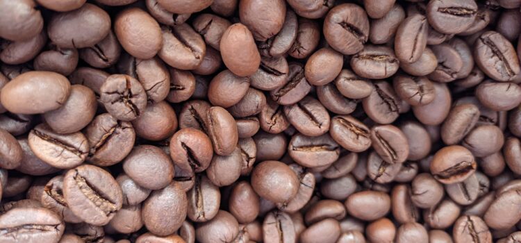 Apa Itu Kopi Robusta