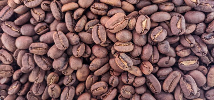 Apa itu Kopi Arabica Apa itu Kopi Arabica